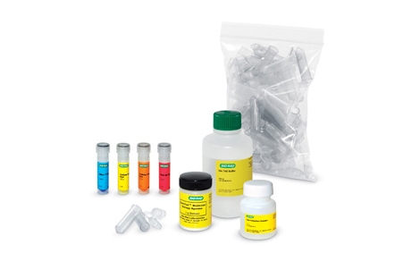 IDEA Kit — Inquiry Dye Electrophoresis Activity
