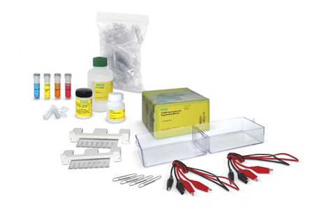 STEM Electrophoresis Kit