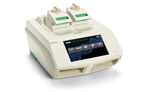 C1000 Touch Thermal Cycler for the Classroom