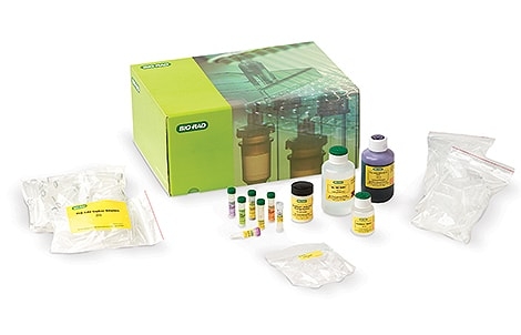 PV92 PCR Informatics Kit