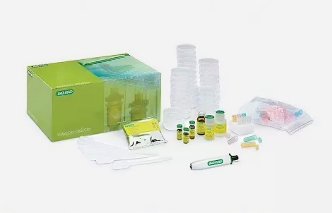 pGLO Bacterial Transformation Kit