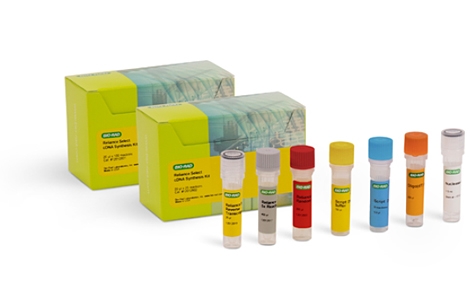 Reliance Select cDNA Synthesis Kit