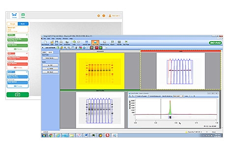 Bioject Software Image Image Lab Software | Bio-Rad