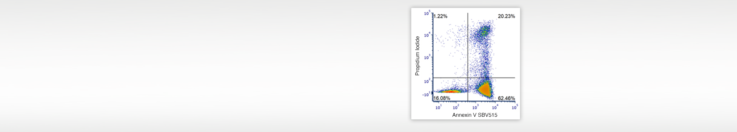 40% off StarBright Dye Annexin V Kits
