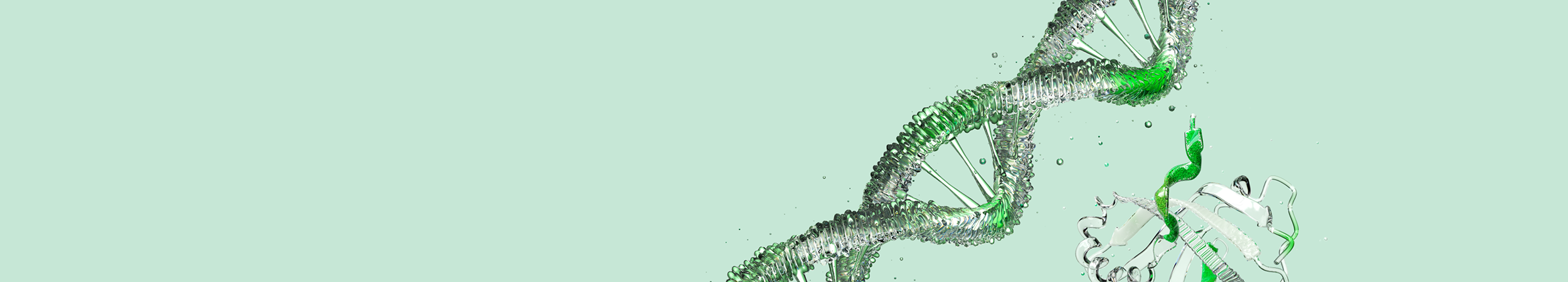 LSG Neuroscience 2026
