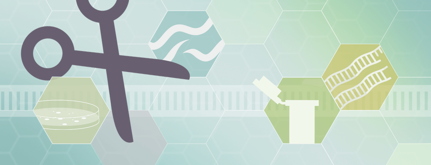 Genetic Engineering Kits — Bio-Rad