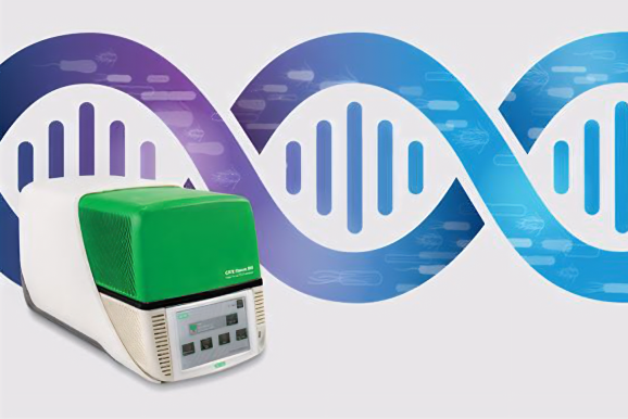 PCR-Based Assays for Food Pathogen Detection