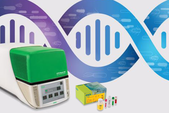 ​Real-Time PCR for Food Testing