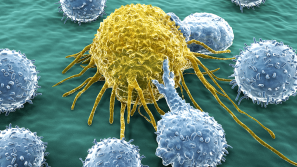 antibodies-veterinary