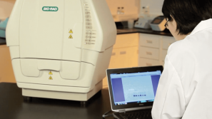 ChemiDoc™ Imaging Systems: Correcting Grainy Images