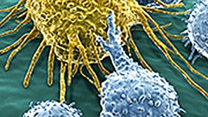 CAR T-cell characterization