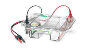 Wide Mini-Sub Cell GT Cell