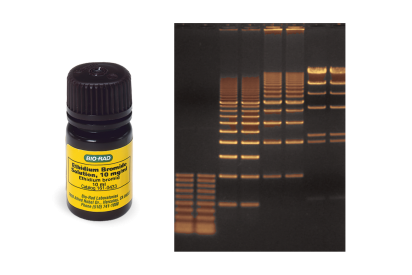 Ethidium Bromide Solution