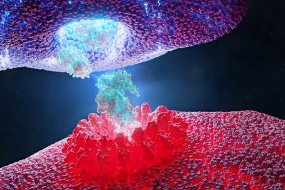 conceptual image of a synapse: vibrant red and purple neuron ends with blue electrical impulses.