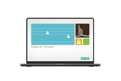 Image Lab Software