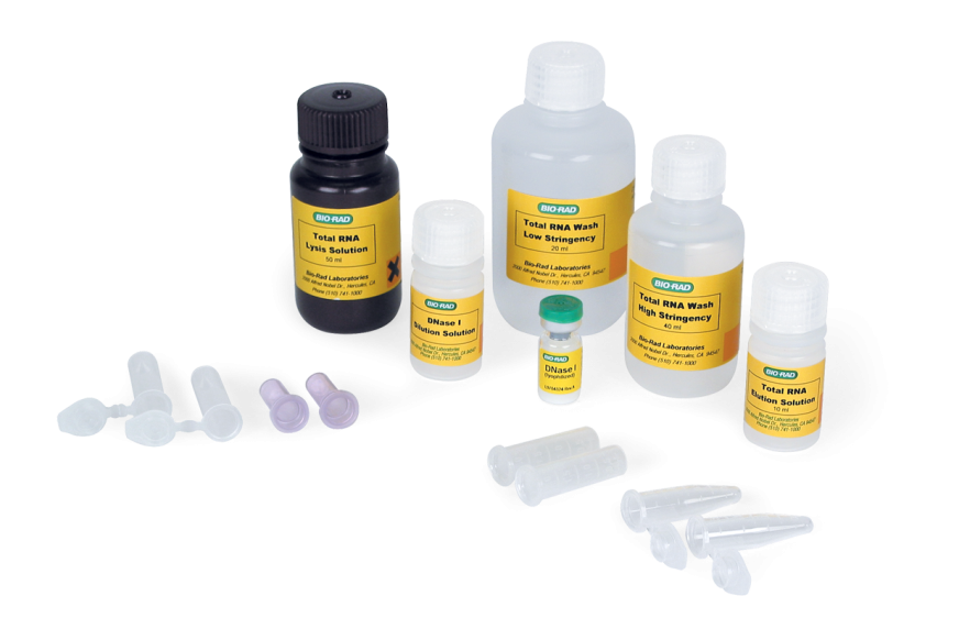 Aurum™ Total RNA Mini Kit
