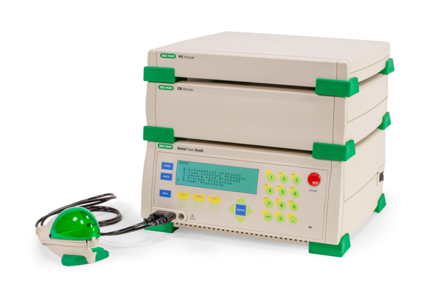 Gene Pulser Xcell Electroporation Systems