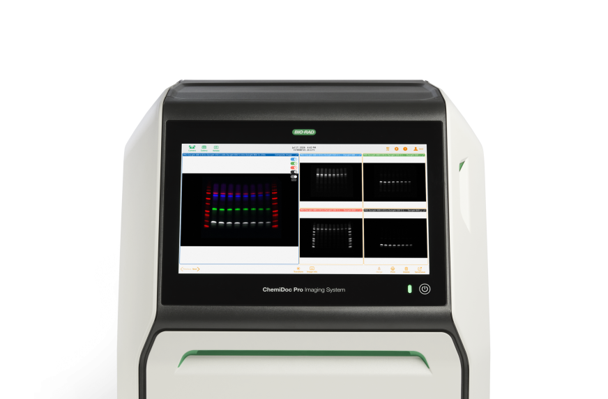 Bioject Software Image Image Lab Touch Software | Bio-Rad