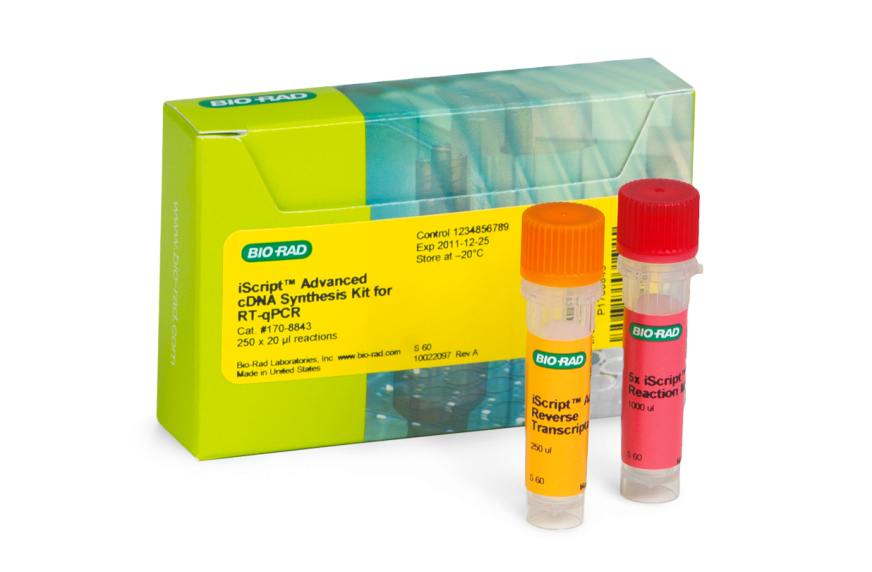 Bio Rad Cdna Synthesis Kit _ iScript™ gDNA Clear cDNA Synthesis Kit, 25 ...