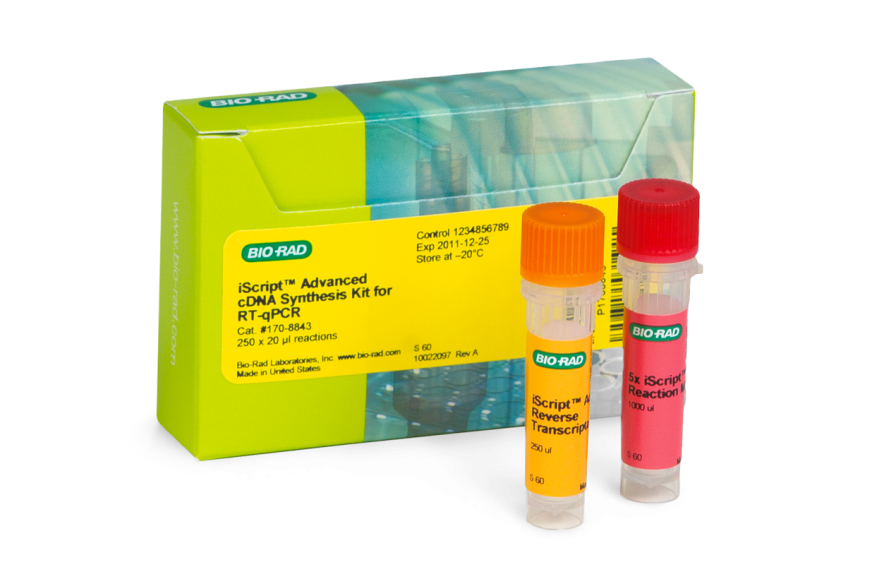 iScript Advanced cDNA Synthesis Kit for RT-qPCR
