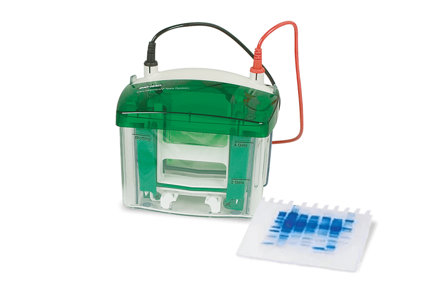 Pbs Cell Mini Mini-PROTEAN Tetra Cell for Classroom Labs – Bio-Rad