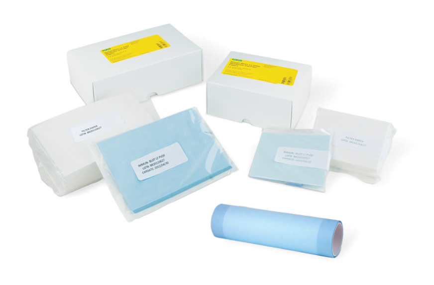 Immun-Blot® Low Fluorescence PVDF Membrane