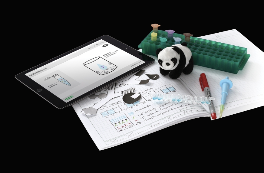 Giant Panda Problem Kit for AP Biology