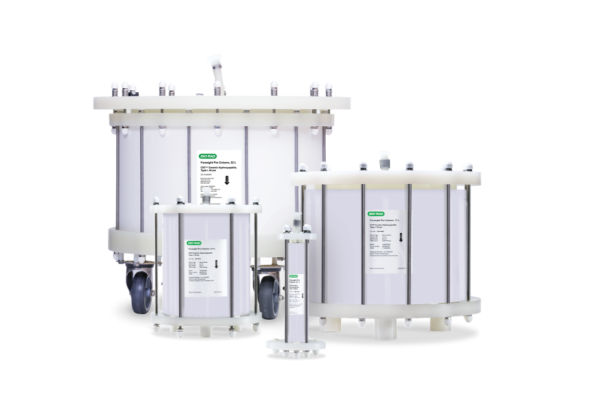 Foresight Pro Chromatography Columns, CHT Ceramic Hydroxyapatite | Bio-Rad