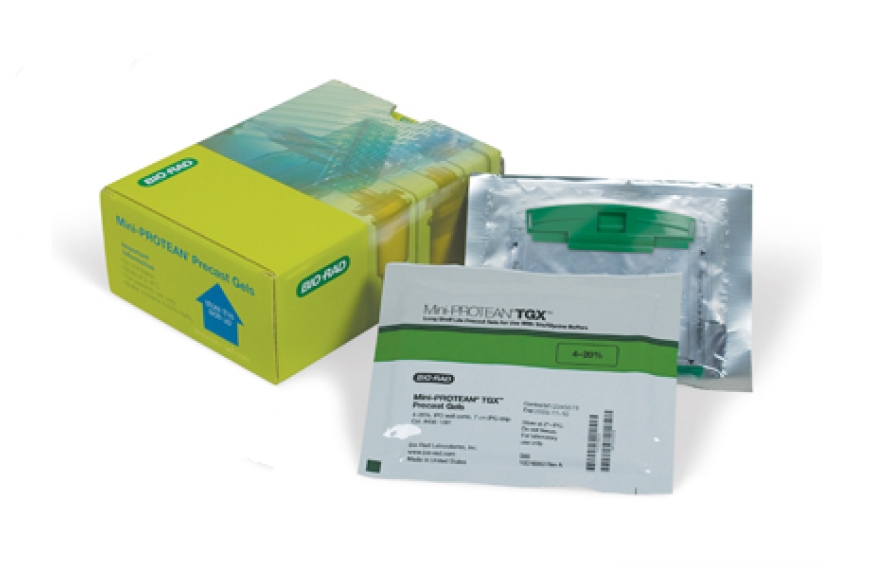 Mini-PROTEAN TGX Precast Gels for 2-D Electrophoresis | Bio-Rad
