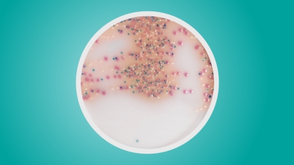Bacteriology Testing Applications — Bio-Rad