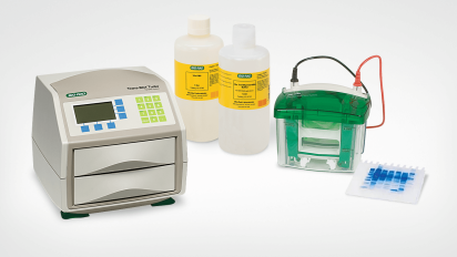 DNA Electrophoresis Equipment and Reagents