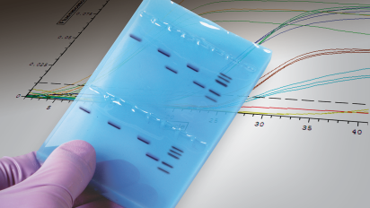 PCR and Real-Time PCR Educational Kits