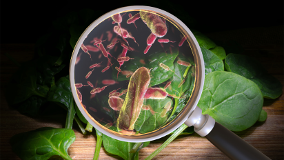 Pathogens in Food