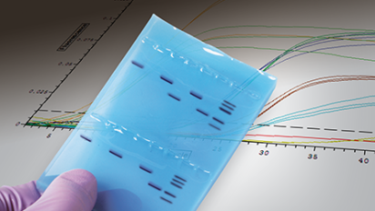 GMO Investigator Real-Time PCR Starter Kit 