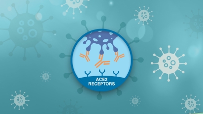 bioplex immunoassay kits reagents
