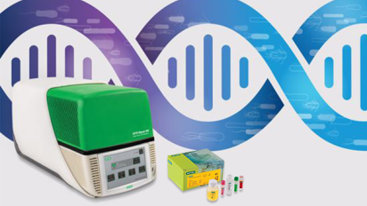 ​Real-Time PCR for Food Testing