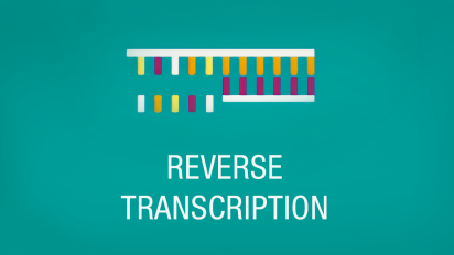 reverse-transcription-icon