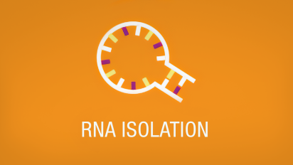 rna-isolation-icon