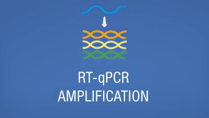 rt-qPCR-amplification-icon