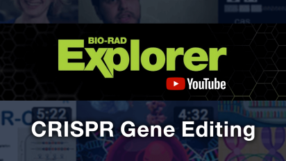 Bio-Rad Explorer CRISPR Gene Editing YouTube Playlist