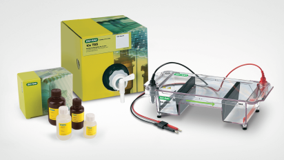 Electrophoresis and Blotting Equipment and Supplies