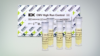 molecular cmv verification controls