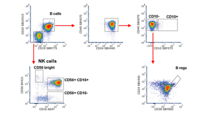 Immunophenotyping by Flow Cytometry | Bio-Rad