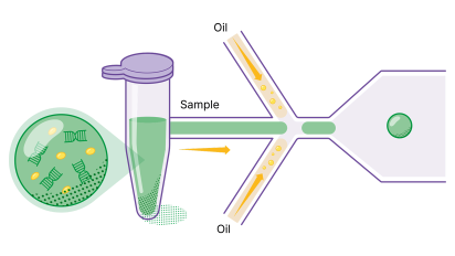 ddPCR technology partitions diagram: A tube's green 'Sample' (magnified showing DNA) flows right. Diagonal yellow 'Oil' streams pinch it into single green drops.