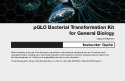 Cover of Instructor Guide, pGLO Bacterial Transformation Kit for General Biology