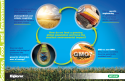 Cover of Science, Food, and Environment AP Strand Poster, Ver A