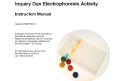 Cover of Instruction Manual, IDEA Kit — Inquiry Dye Electrophoresis Activity, Biotechnology Explorer, Rev A