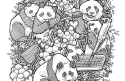 Cover of Giant Panda Problem Coloring Page