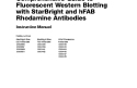 Cover of Comprehensive Guide to Fluorescent Western Blotting with StarBright and hFAB™ Rhodamine Antibodies