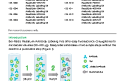 Cover of ReadiLink Antibody Labeling Kit Product Insert, Rev C